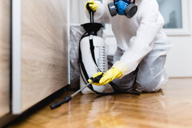 Wasp Removal Services in Normandy Park, WA