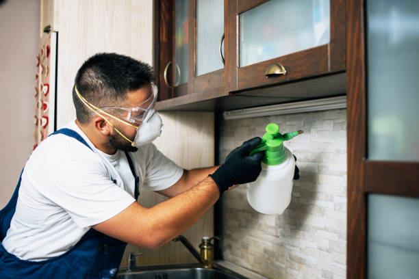Best Emergency Pest Control  in Normandy Park, WA