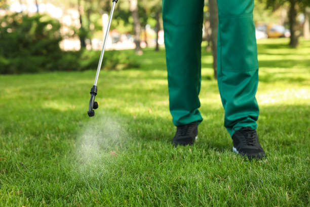 Best Cockroach Control Services  in Normandy Park, WA