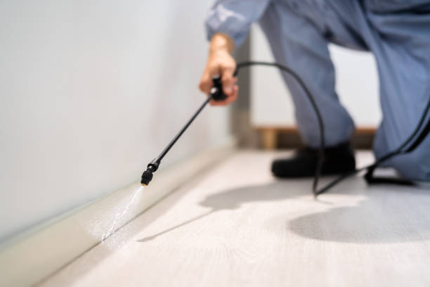Best Commercial Pest Control Services  in Normandy Park, WA