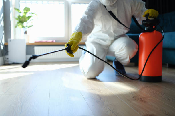 Best Best Pest Control Companies  in Normandy Park, WA