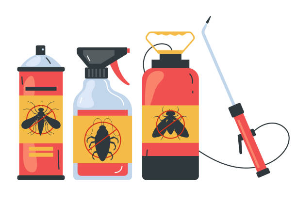 Best Termite Control Services  in Normandy Park, WA