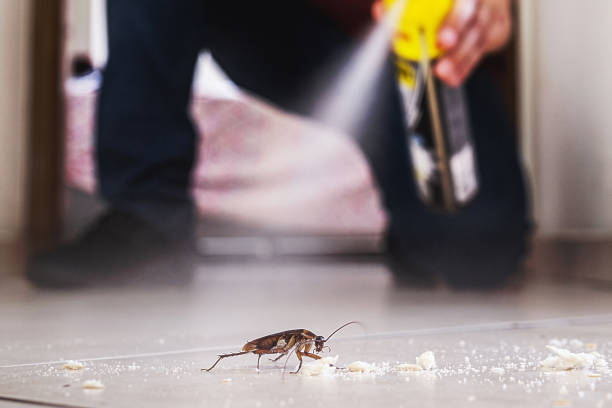 Normandy Park, WA Pest Control Company